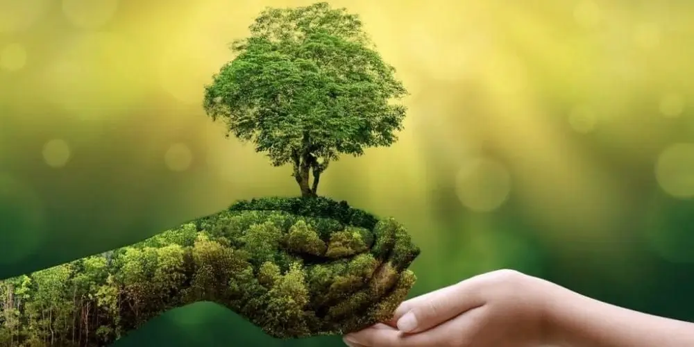 Giải Mã Giấc Mơ Thấy Chó Chết: Điềm Báo & Hóa Giải Hiệu Nghiệm 5 Cân bằng cuộc sống: Bàn tay thiện, cây xanh.