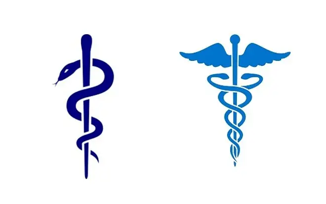 Cây thuốc rắn: Biểu tượng y học chữa lành