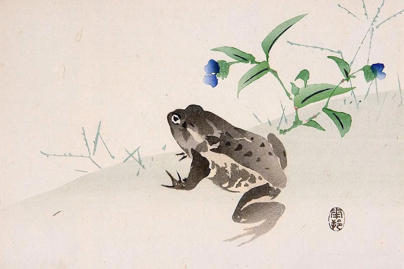 Thả ếch về tự nhiên: Buông bỏ, tích đức, nhân ái.