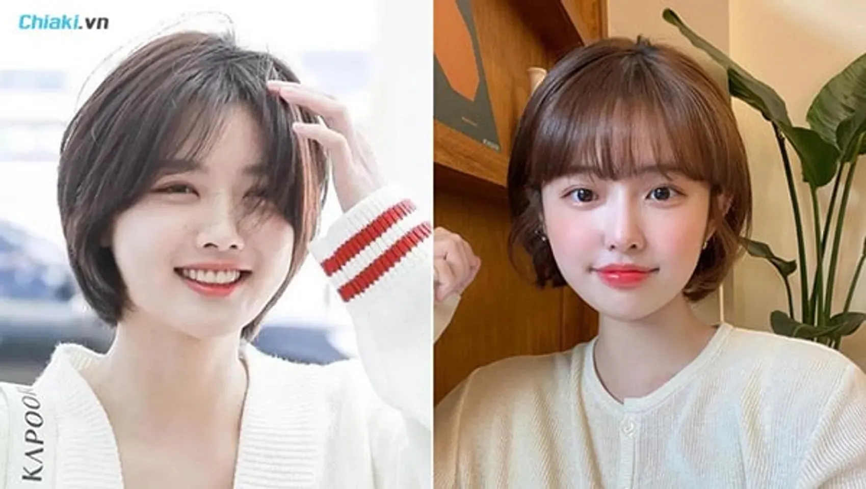 Tên gọi gắn liền với thiên nhiên - Tóc tém