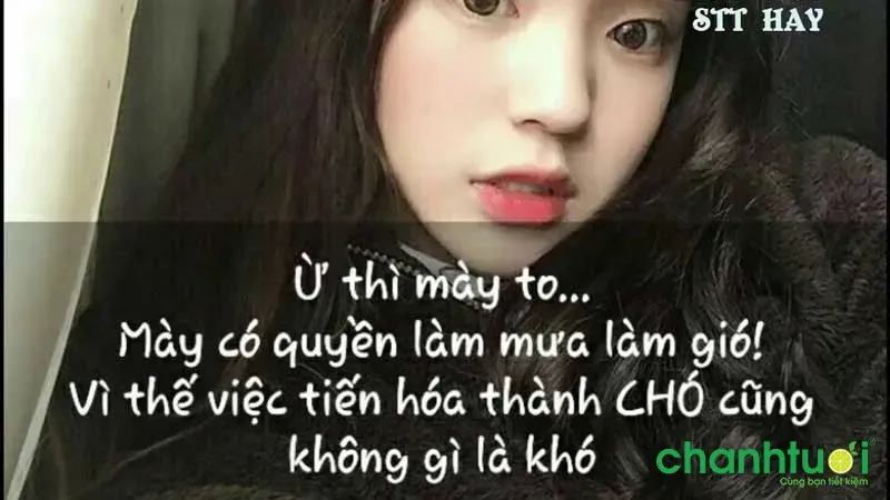 Sáng tạo biệt danh troll bạn bè gửi gắm sự trêu chọc lịch sự