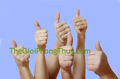 THOUGHT: The user wants a short, SEO-friendly image title (5-8 words) based on the description Hình ảnh một bảng số hoặc biểu tượng may mắn theo dân gian. I need to translate the core meaning into a concise, catchy title.
1. **Analyze the description:**
* bảng số (number plate/board)
* biểu tượng may mắn (lucky symbol)
* theo dân gian (folk/traditional)
2. **Identify key concepts for SEO:**
* may mắn (luck, lucky)
* biểu tượng (symbol)
* dân gian (folk, traditional)
* số (number - maybe less important than may mắn but could be included)
3. **Brainstorm keywords/phrases:**
* Biểu tượng may mắn dân gian
* Số may mắn truyền thống
* Bảng số phong thủy
* Biểu tượng may mắn và số
* Dân gian biểu tượng may mắn
4. **Draft titles, keeping word count (5-8) in mind:**
* Biểu tượng may mắn dân gian (4 words - too short)
* Bảng số, biểu tượng may mắn dân gian (6 words - good)
* Hình ảnh biểu tượng may mắn truyền thống (6 words - good)
* Biểu tượng, số may mắn theo dân gian (6 words - good)
* Biểu tượng may mắn dân gian và số đẹp (7 words - good)
* Bảng số, biểu tượng may mắn phong thủy dân gian (7 words - good, phong thủy adds an SEO dimension related to luck)
5. **Refine and select the best option for SEO and conciseness:**
* Bảng số, biểu tượng may mắn dân gian is direct and covers all aspects.
* Biểu tượng, số may mắn theo dân gian is also good.
* Adding phong thủy could be beneficial, but dân gian already implies a traditional belief system. Bảng số, biểu tượng may mắn phong thủy dân gian might be slightly too long or redundant.
Let's go with Bảng số, biểu tượng may mắn dân gian. It's clear, descriptive, and within the word limit. Phong thủy could be an alternative but dân gian is specifically mentioned.
Another strong candidate: Biểu tượng may mắn, số đẹp dân gian. (6 words). Số đẹp implies lucky numbers.
Let's re-evaluate Bảng số hoặc biểu tượng may mắn theo dân gian.
The hoặc (or) suggests it could be *either* a number board *or* a lucky symbol.
If it's specifically a number board *that is* a lucky symbol, then Bảng số may mắn dân gian (4 words) is too short.
Let's try to combine both possibilities while staying concise.
Bảng số, biểu tượng may mắn dân gian (6 words). This implies it could be a number board *or* a lucky symbol, or both associated.
Consider the core idea: lucky symbols and numbers from folklore.
Keywords: may mắn, biểu tượng, số, dân gian, truyền thống.
Option 1: Biểu tượng may mắn dân gian và số (6 words) - Good.
Option 2: Bảng số, biểu tượng may mắn theo dân gian (7 words) - Also good.
Option 3: Biểu tượng may mắn, số đẹp dân gian truyền thống (7 words) - A bit long, might repeat dân gian and truyền thống too much.
Bảng số, biểu tượng may mắn theo dân gian directly uses the theo dân gian phrase and covers both bảng số and biểu tượng may mắn. This seems most faithful to the original description and still SEO-friendly.
Let's check the constraints: 5-8 words.
Bảng số, biểu tượng may mắn theo dân gian is 7 words. Perfect.
It includes:
* Bảng số (number board)
* biểu tượng may mắn (lucky symbol)
* theo dân gian (according to folklore)
This covers all aspects concisely and is SEO-friendly.