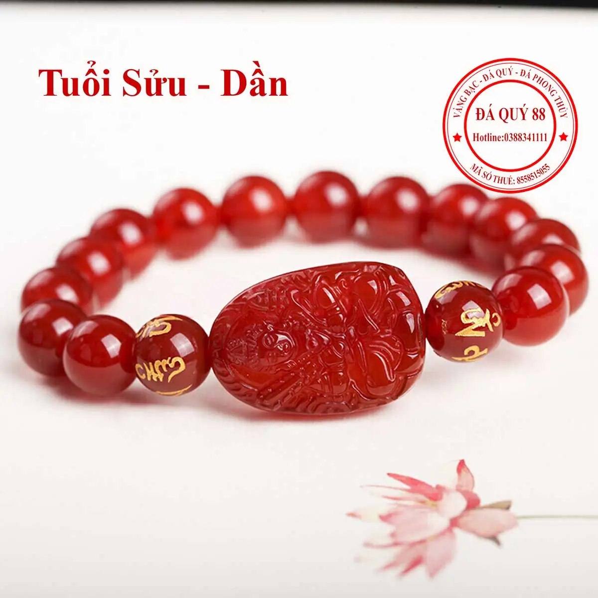 Vòng Mã Não Đỏ cho Người Tuổi Sửu: Khai Mở Vận Khí, Cát Tường Bình An 6 Người tuổi Sửu đeo mã não đỏ, bình an tự tin.