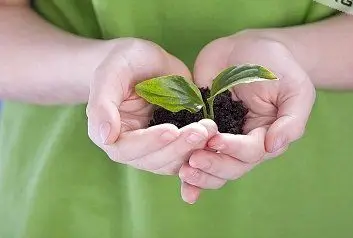 Giải Mã Giấc Mơ Thấy Hồ Bơi: Thông Điệp Sâu Kín Từ Tiềm Thức 7 Bàn tay gieo hạt, tích đức hành thiện.