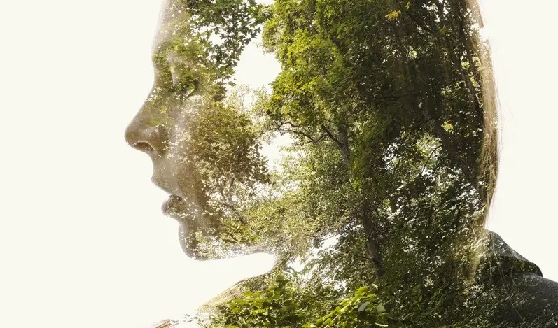 Trừu Tượng Hài Hòa: Cân Bằng Thiên Nhiên Con Người