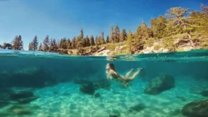 Người bơi trong nước trong xanh tĩnh lặng.