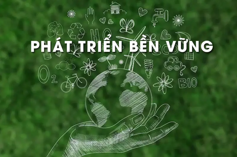 Cổ thụ vững chãi: Ổn định và phát triển bền vững.