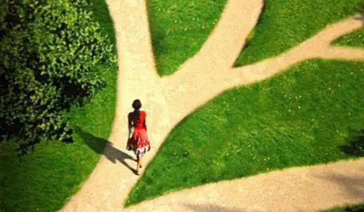 Đường chia đôi, hai hướng lựa chọn.