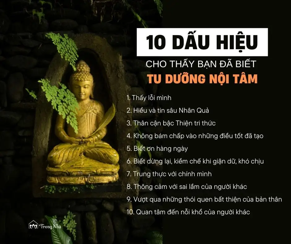 Nằm Mơ Thấy Chó Vàng: Giải Mã Điềm Báo & Hướng Hóa Giải 5 Phong thủy và suy tư: Cân bằng nội tâm.