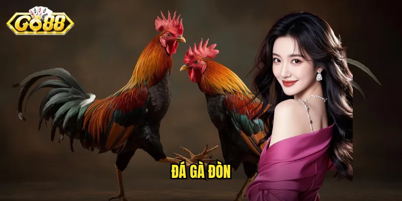 Đá gà chọi: Cuộc chiến cạnh tranh quyết liệt.