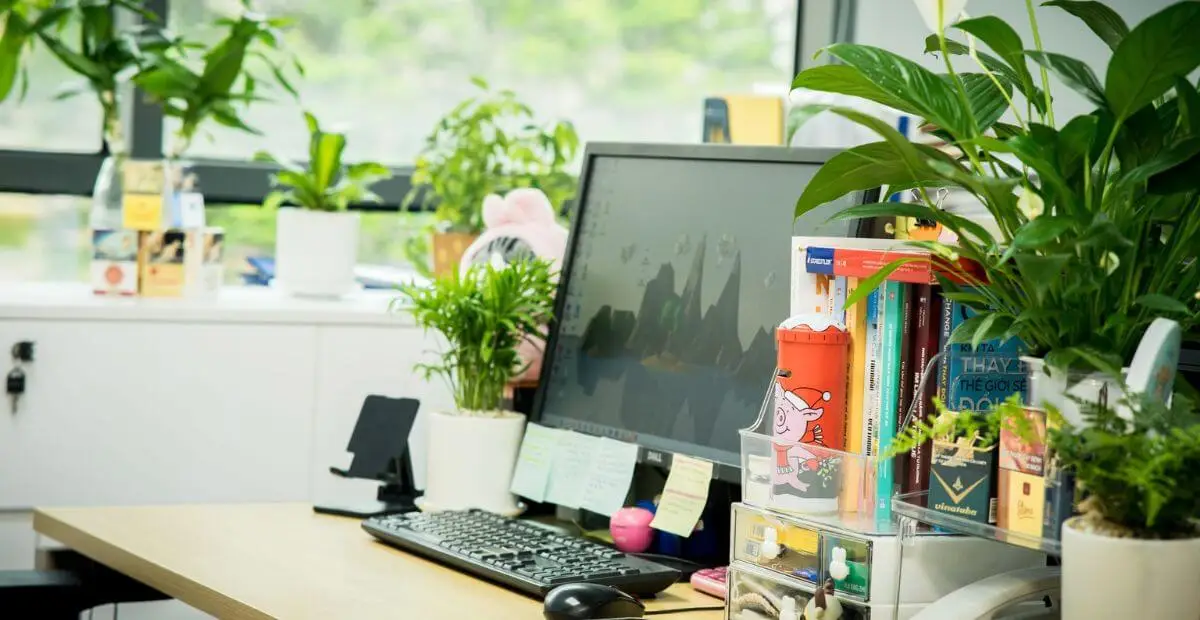 Khai Mở Tài Lộc: Ý Nghĩa Chăn Ga Mệnh Hỏa Và Sức Mạnh Nơi Bàn Làm Việc 7 Bàn làm việc khoa học: Cây xanh, đèn, phong thủy.