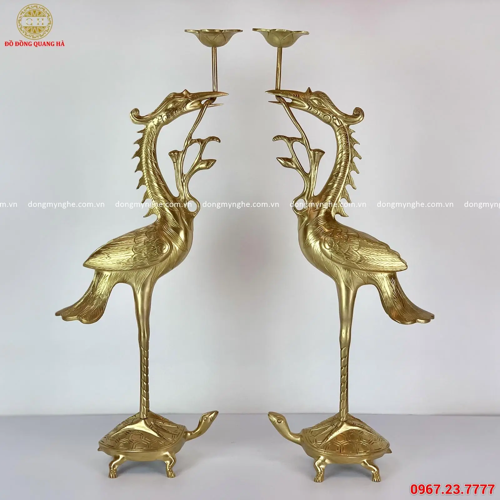 1576861905 doi hac dong tho cung bang dong