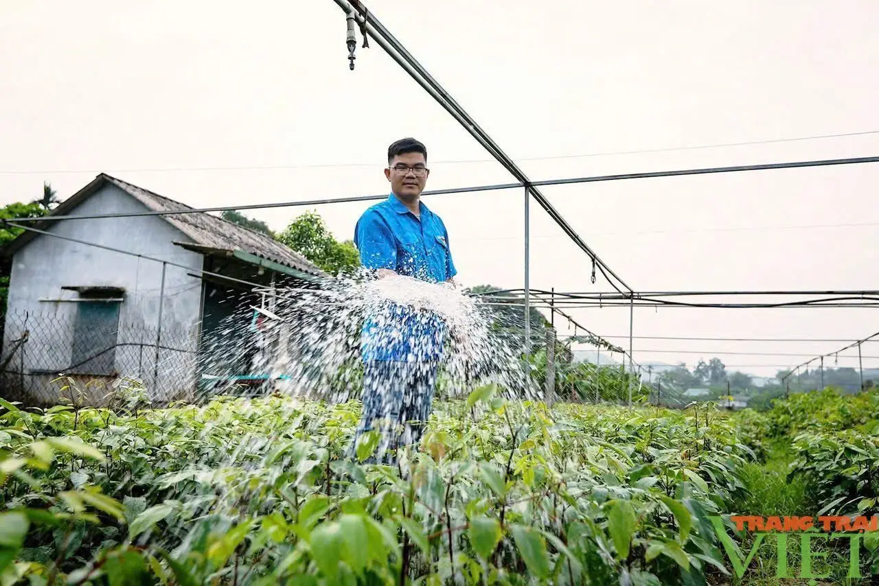 Nông dân chăm sóc, ươm mầm sự sống.