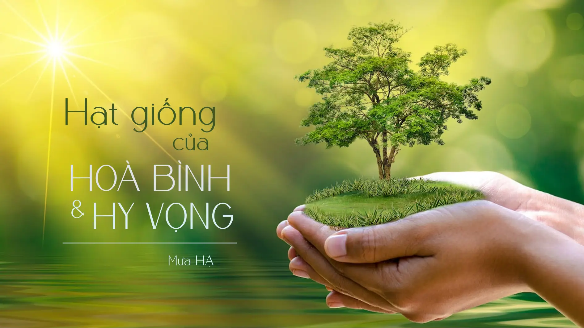 Nằm Mơ Thấy Trẻ Sơ Sinh Bị Ngạt: Giải Mã Điềm Báo & Hóa Giải Tâm An 7 Bàn tay nâng niu hạt mầm hy vọng.