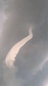 Rồng trắng bay lượn trên mây trời.