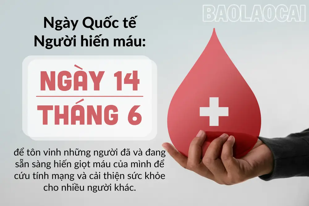 Giải Mã Giấc Mơ Thấy Máu Đỏ Tươi: Điềm Báo Nào Đang Chờ Đợi Bạn? 3 Giọt máu đỏ tươi: Năng lượng, sức khỏe.