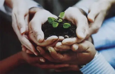 Bàn tay nâng niu mầm cây, ươm thiện lành.