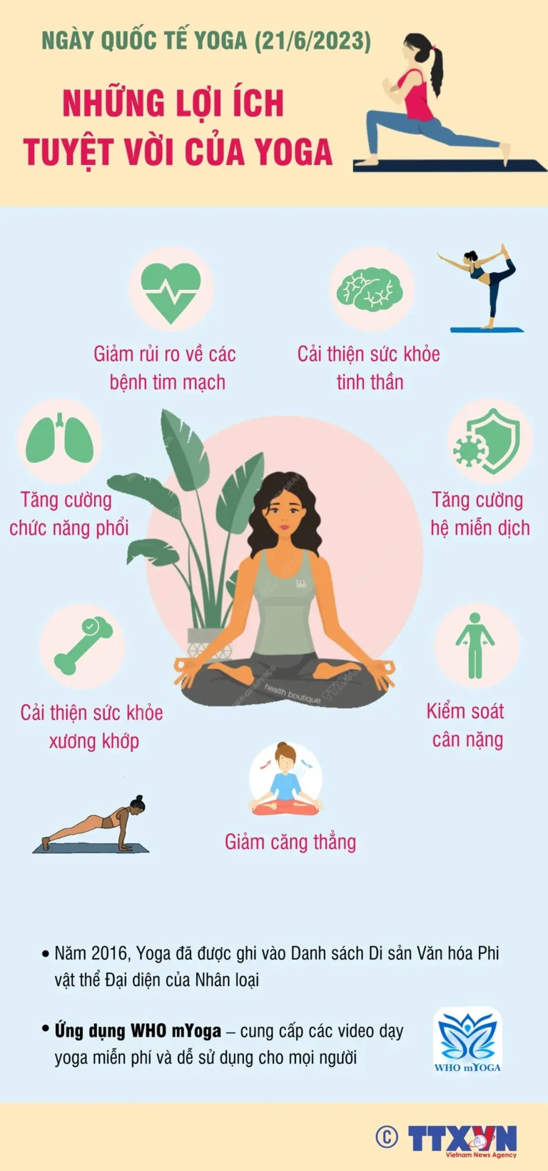 Thiền Yoga: Bình An và Sức Bền