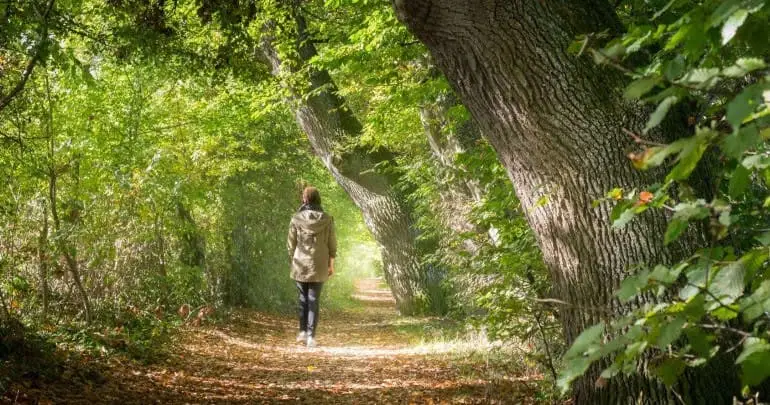 Thiền định: An tâm, kết nối thiên nhiên.