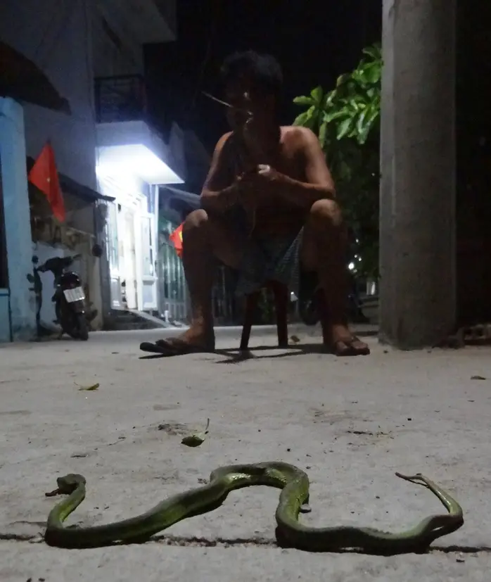 Nằm Mơ Rắn Đuổi: Giải Mã Điềm Báo & Hóa Giải Để An Tâm 4 Người bối rối nhìn thấy rắn.