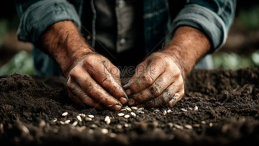 Gieo hạt giống: Bàn tay vun đắp tương lai.