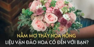 Giấc mơ hoa hồng rực rỡ bí ẩn