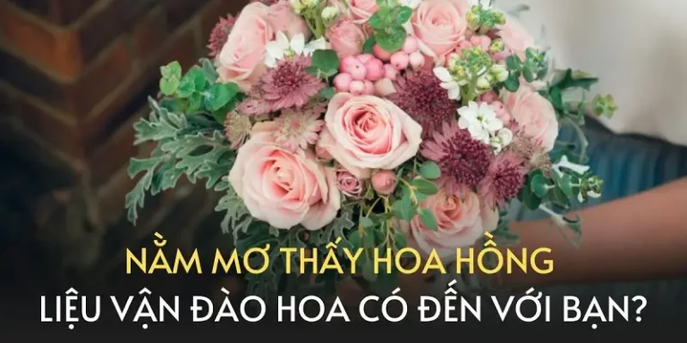 Giấc mơ hoa hồng rực rỡ bí ẩn