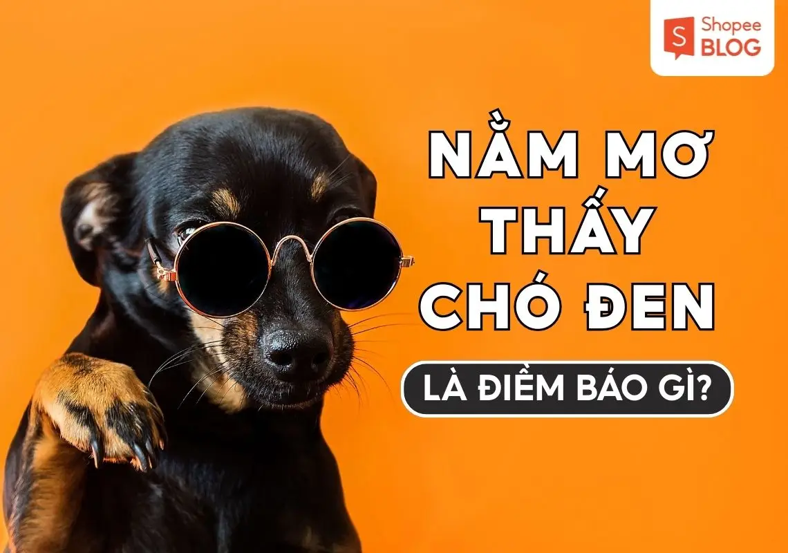 Giải mã màu sắc chó trong giấc mơ