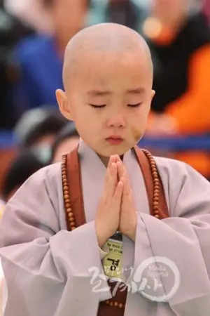 Giải Mã Giấc Mơ Thấy Uống Thuốc: Điềm Báo & Hướng Hóa Giải An Tâm 7 Bàn tay chắp lại cầu nguyện thiền định