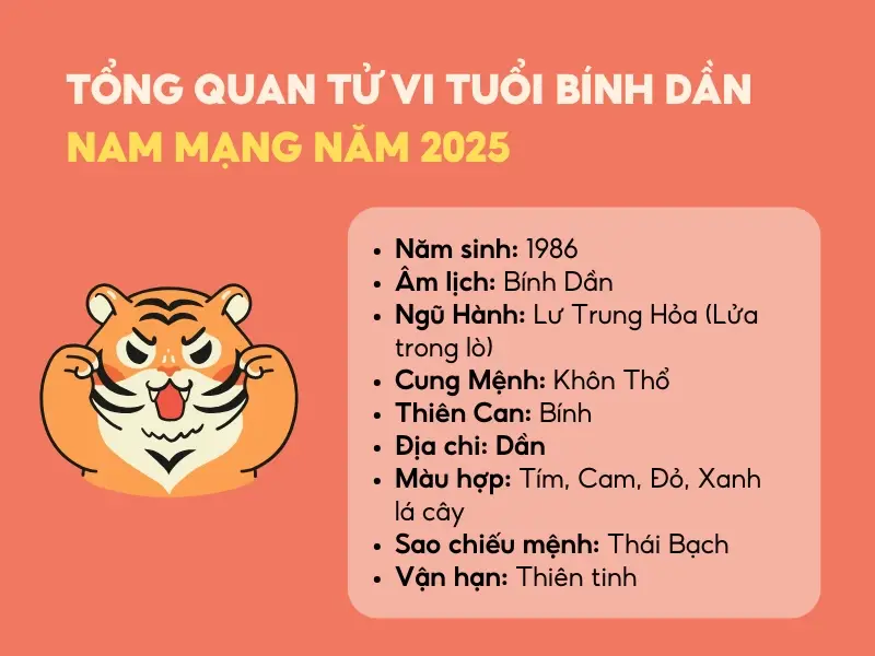 Vòng Phong Thủy Cho Nam Mạng Tuổi Dần: Khai Mở Vận Khí, Vượng Tài Lộc, Định Hướng Thành Công 4 Nam mạng tuổi Dần mạnh mẽ, quyết đoán
