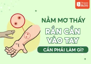 Mơ rắn cắn tay: Suy nghĩ điềm báo.