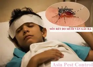 Người bị muỗi vây, phiền nhiễu lo lắng.