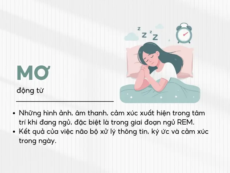 Suy tư giải mã ý nghĩa giấc mơ