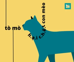 Giấc mơ bóng mèo: Bí ẩn, tò mò.