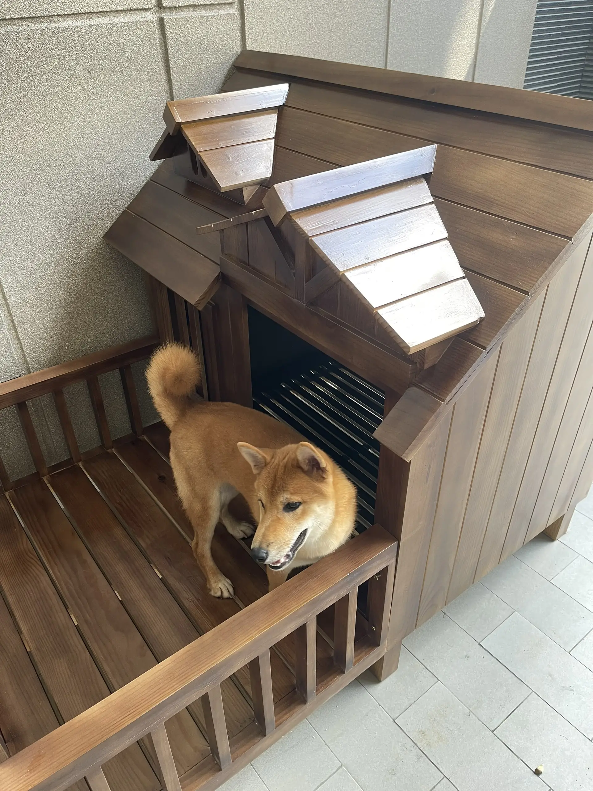 Ý nghĩa nuôi chó phong thủy: Hóa giải điềm xấu, đón tài lộc 9 Chọn vị trí chuồng chó tối ưu trong nhà