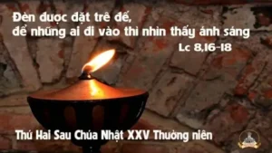 Suy tư bên lửa, tìm kiếm ánh sáng.