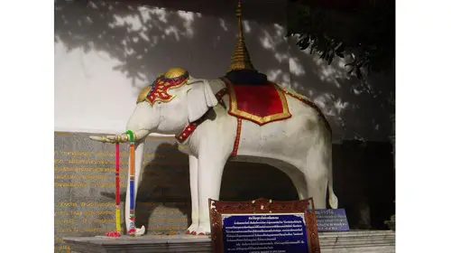 Voi trắng, voi con: Biểu tượng may mắn, khởi đầu mới.