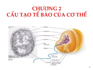 Sợi chỉ màu: Mạng lưới mối quan hệ phức tạp.
