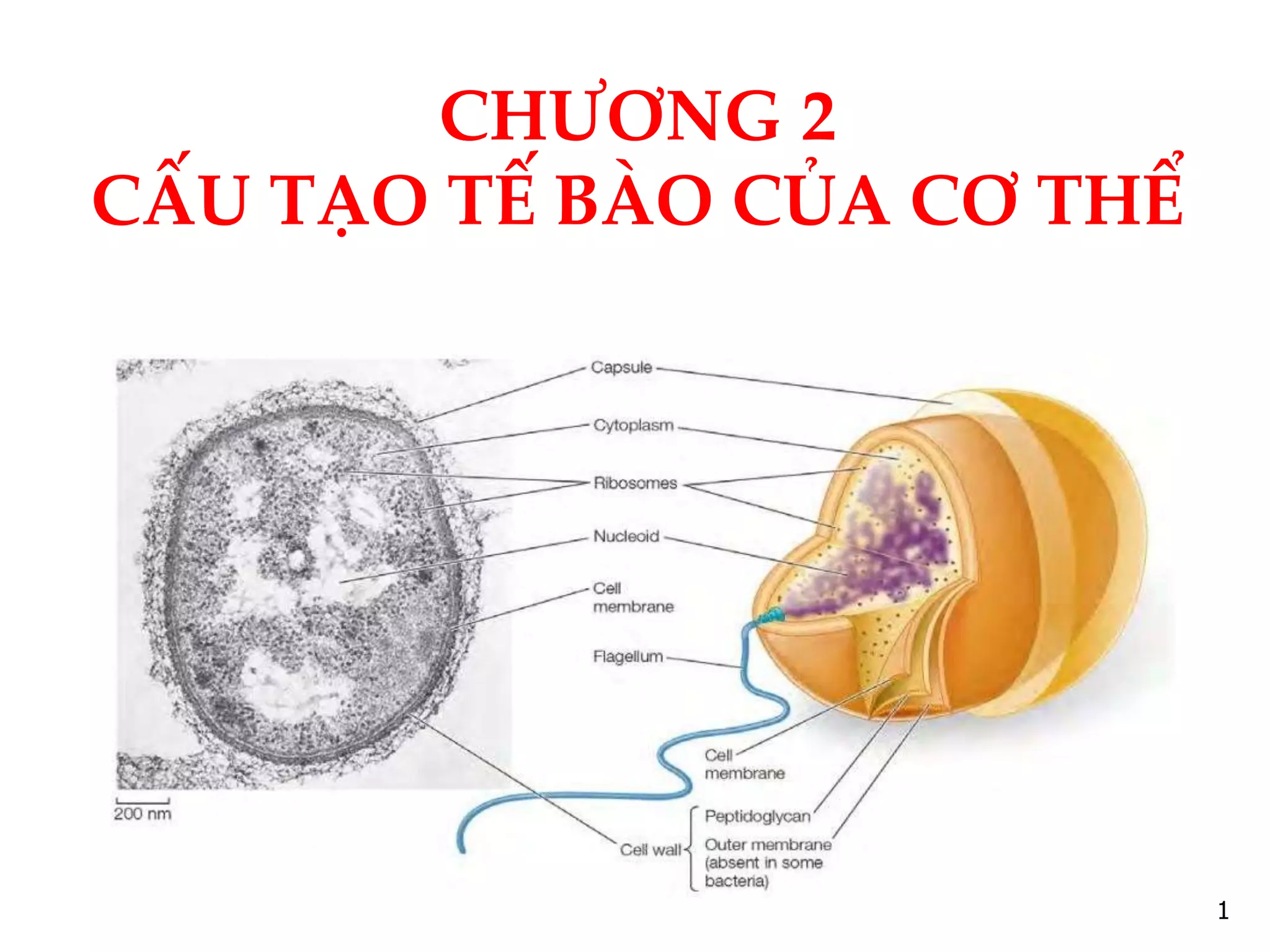 Sợi chỉ màu: Mạng lưới mối quan hệ phức tạp.