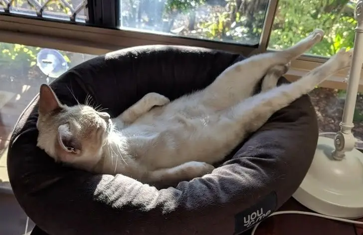 Ngam Nhin Khoanh Kha