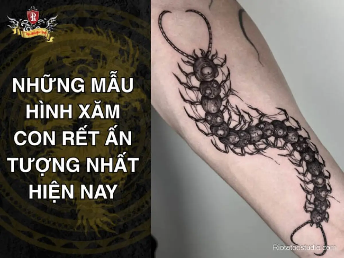 Nằm mơ thấy rết đánh số mấy: Giải mã sâu sắc và An tâm sống thiện 4 Rết: Biểu tượng huyền bí và ý nghĩa.