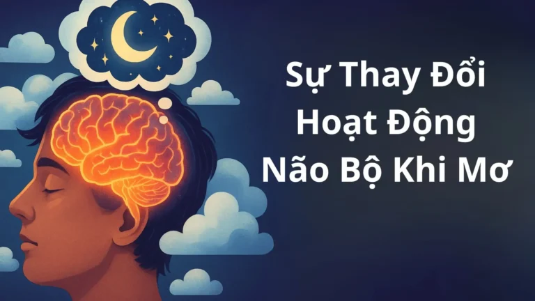 Suy tư giấc mơ, dòng máu mờ ảo.