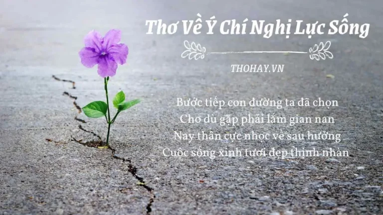 Nghị lực sống: Vượt khó, thoát hiểm kiên cường.