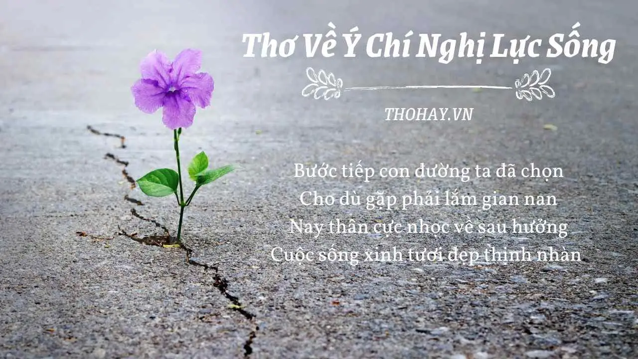 Nghị lực sống: Vượt khó, thoát hiểm kiên cường.