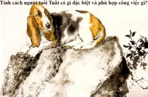 Đặc điểm tính cách người tuổi Tuất