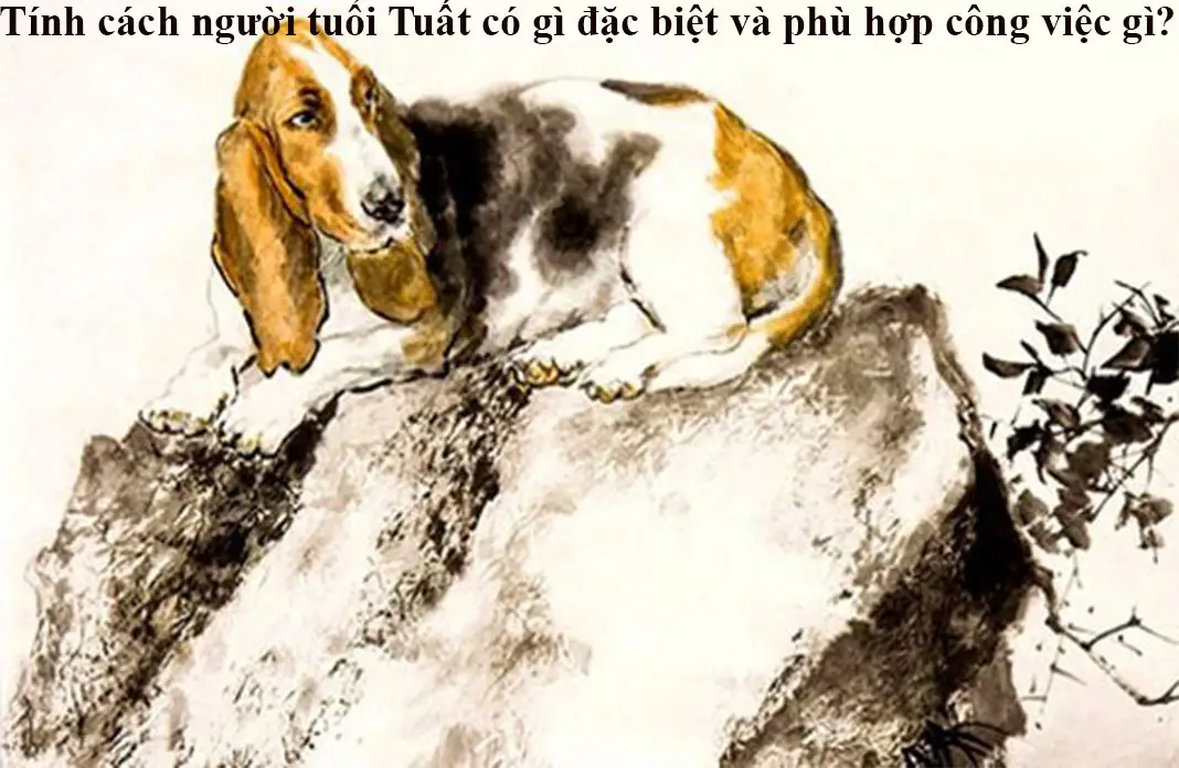 Vòng Thạch Anh Khói Tuổi Tuất: Bí Quyết Thu Hút Vượng Khí, Bình An 4 Đặc điểm tính cách người tuổi Tuất