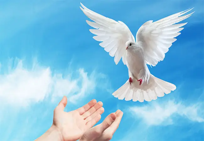 Thanh thản tâm hồn, giải tỏa ân tình.