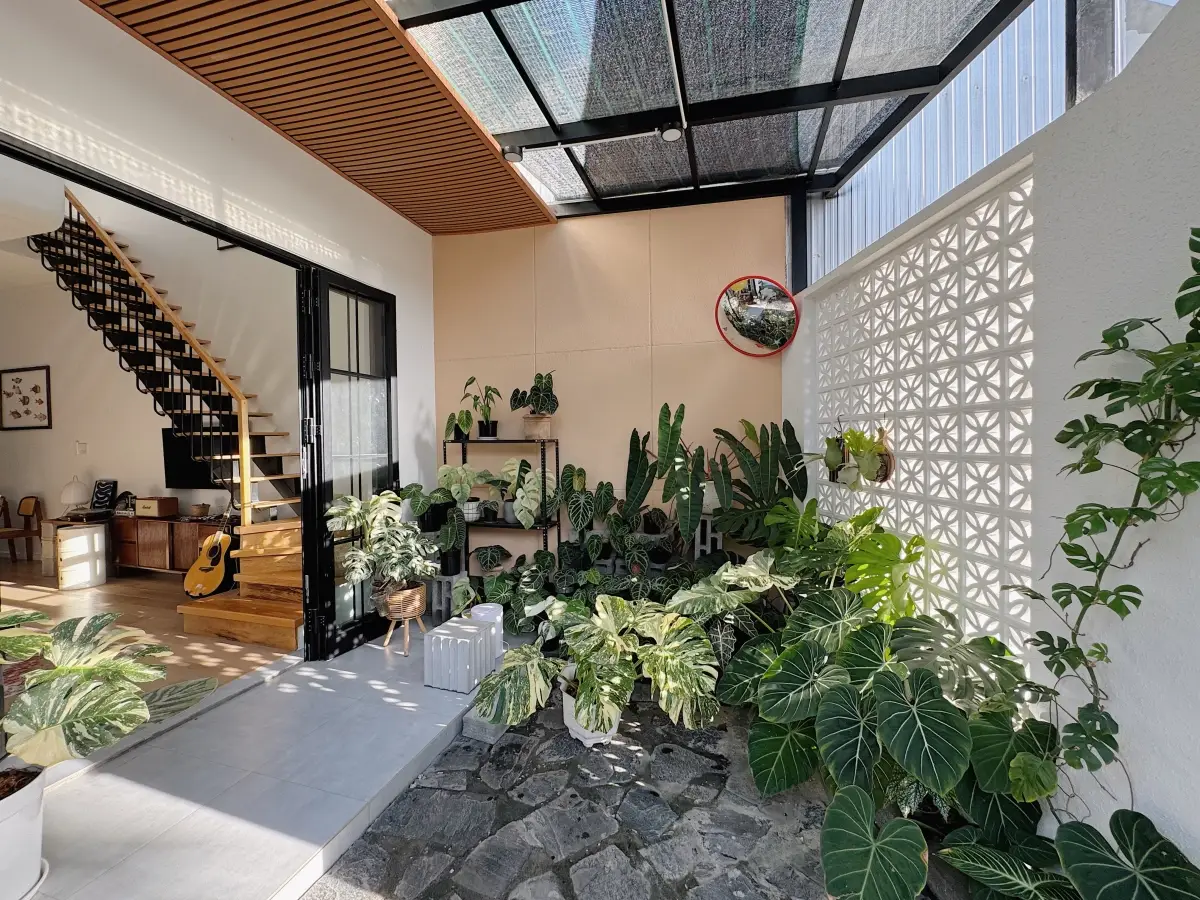 Nội thất nhà hài hòa, cây xanh, ánh sáng tự nhiên.