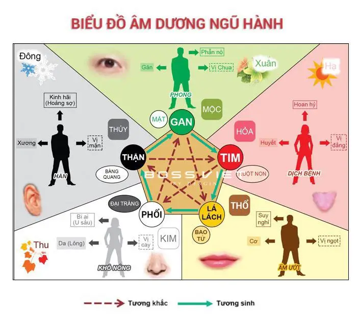 Giải Mã Bí Ẩn: Đặt Tên Con Sinh Tháng 8 Hợp Mệnh, Chiêu Tài Lộc 6 Bảng Ngũ Hành Âm Dương cân bằng hài hòa.