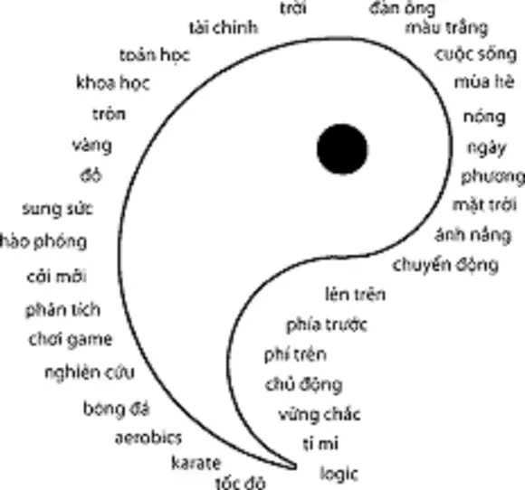 Âm Dương Cân Bằng Vòng Tròn Năng Lượng